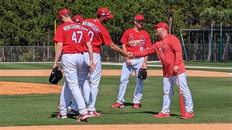Latest Cardinals News .